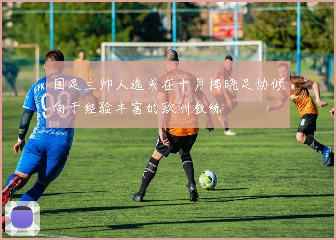 国足主帅人选或在十月揭晓足协倾向于经验丰富的欧洲教练