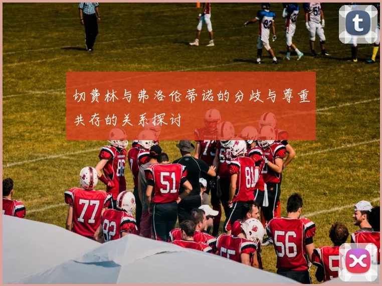 切费林与弗洛伦蒂诺的分歧与尊重共存的关系探讨