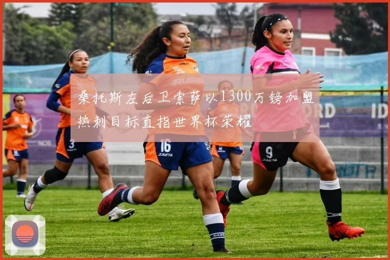 桑托斯左后卫索萨以1300万镑加盟热刺目标直指世界杯荣耀