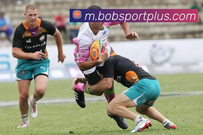 BOB体育APP 高清赛事图